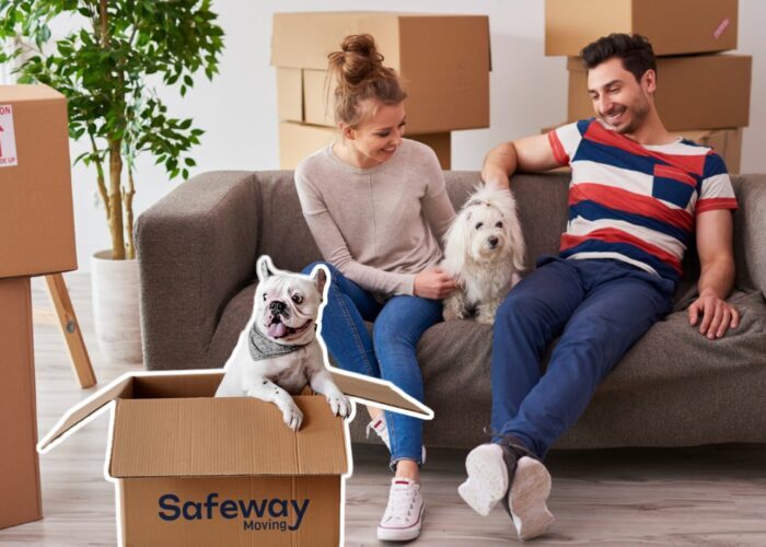 Moving With Pets From Florida to the West Coast Moving With Pets From Florida to the West Coast