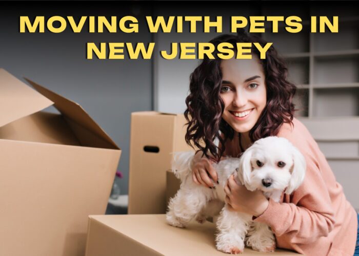 Moving With Pets in New Jersey: Safety Tips