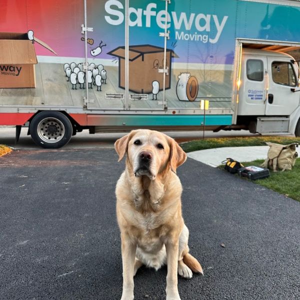 Safeway Moving Real Customers Gallery1