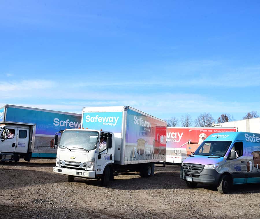 Untitled-1_0005_MOVER0206