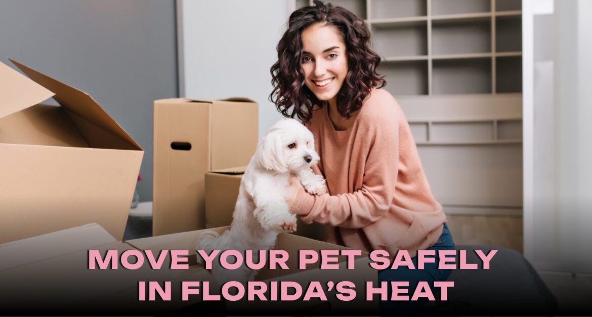 How to Move Your Pet Safely in Florida’s Heat