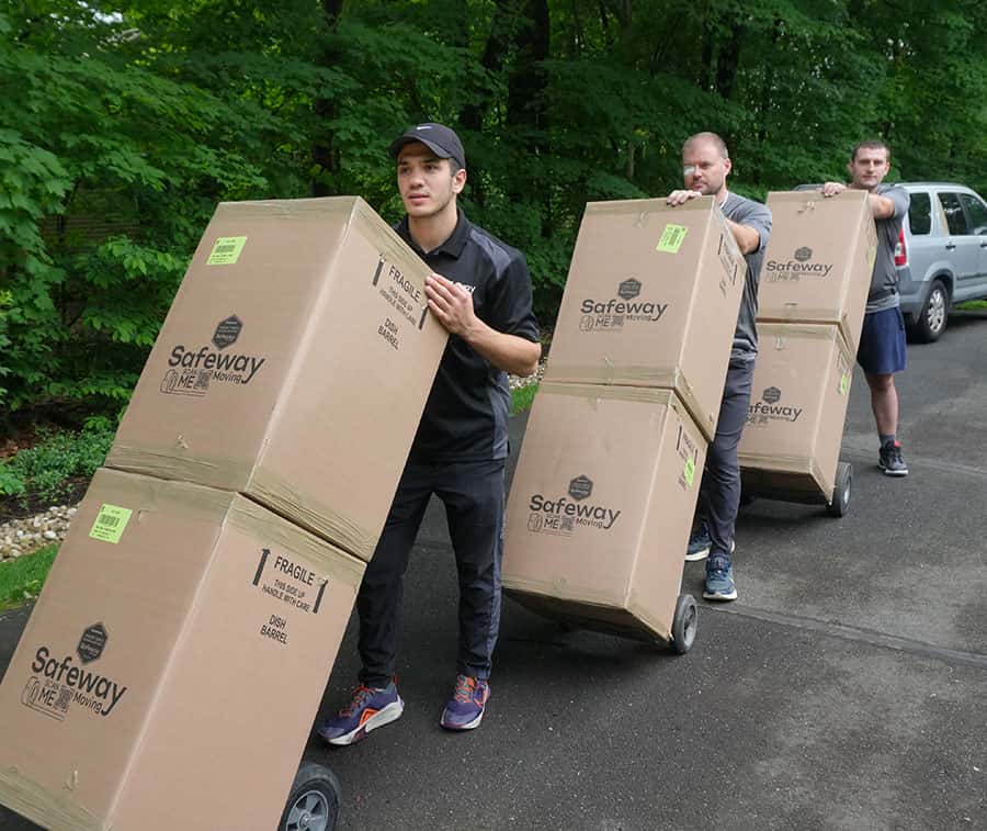 Untitled-1_0013_DSC00333